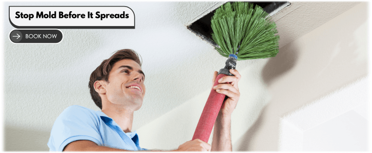 Air Duct Mold Removal in Sugar Land