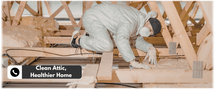 Attic Cleaning Sugar Land
